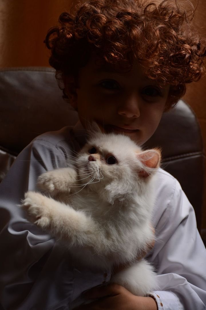 Boy cuddling a fluffy white kitten